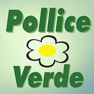 POLLICE VERDE