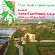 VETTORI GIARDINI