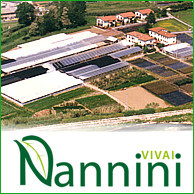 VIVAI NANNINI