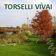 VIVAI TORSELLI